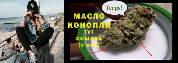 гидра Арсеньев