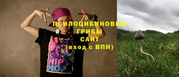 гидра Арсеньев