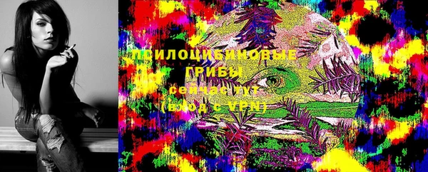 хмурый Армянск
