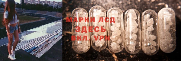 гидра Арсеньев