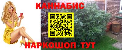 шишки Кохма