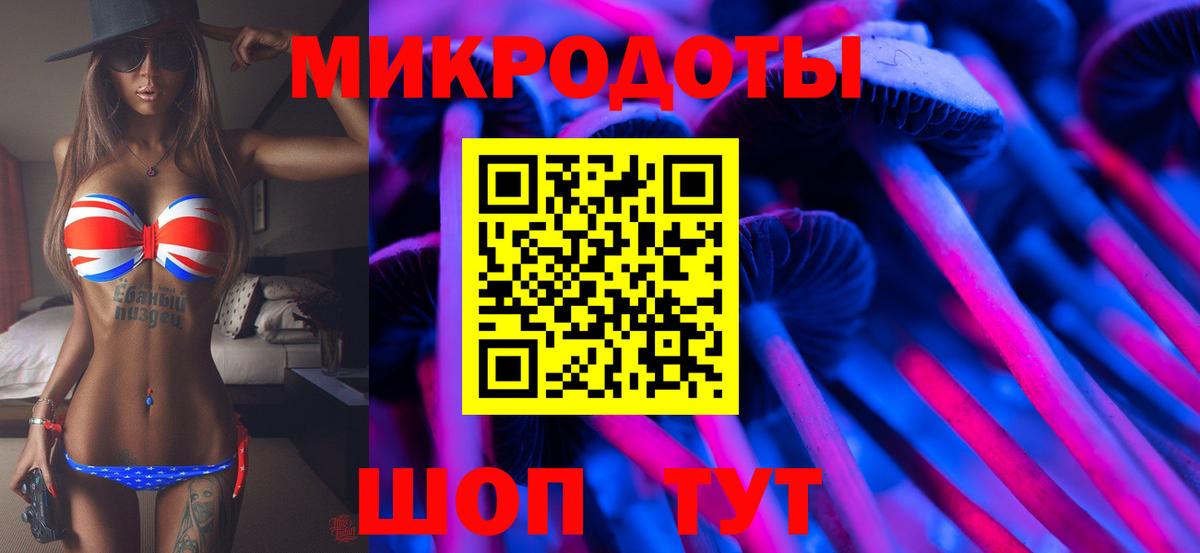 Георгиевск  Псилоцибиновые грибы прущие грибы  Вход с VPN 