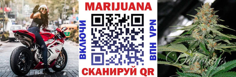 Бошки Шишки THC 21%  даркнет сайт  ОМГ ОМГ зеркало  Георгиевск 